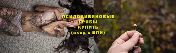 ешки Богородск