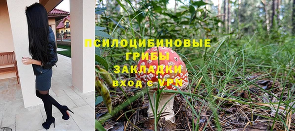 PSILOCYBIN Бородино
