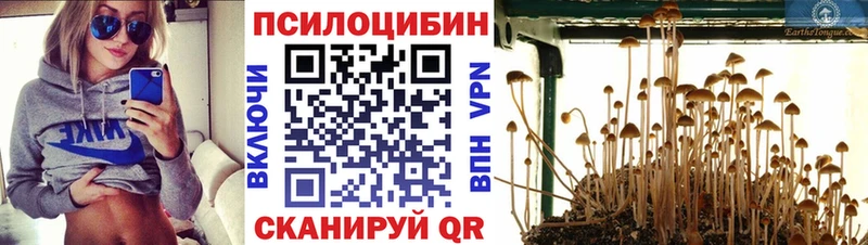 blacksprut зеркало  Билибино  Галлюциногенные грибы мухоморы 